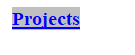 Text Box: Projects