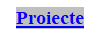 Text Box: Proiecte
