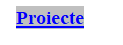 Text Box: Proiecte