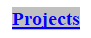 Text Box: Projects