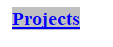 Text Box: Projects