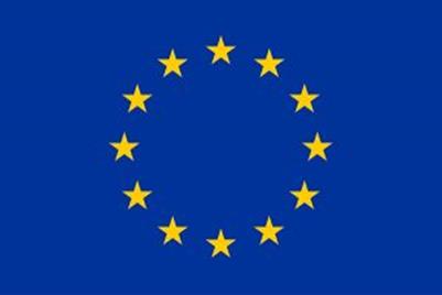 https://www.chimicaverdelombardia.it/wp-content/uploads/2022/06/eu_flag-300x201.jpg